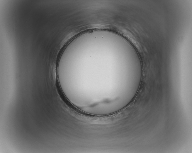 X0000111810011200908061124