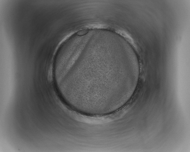 X0000111810012200908061124