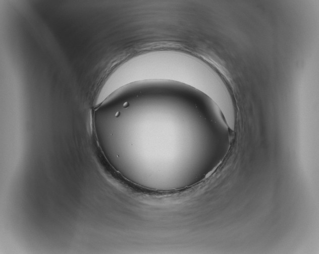 X0000111810013200908061124