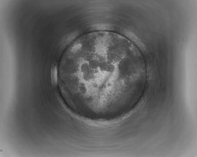 X0000111810014200908061124