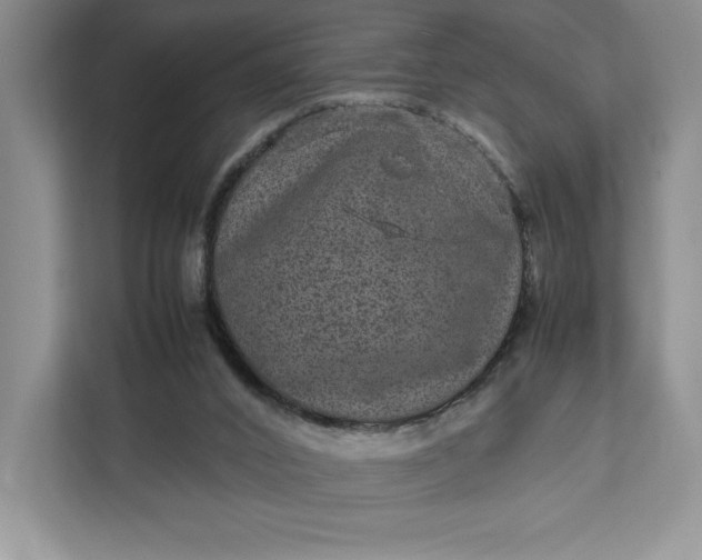 X0000111810016200908061124