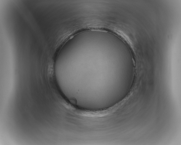 X0000111810017200908061124