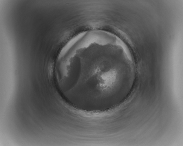 X0000111810018200908061124