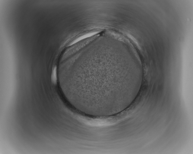 X0000111810020200908061124