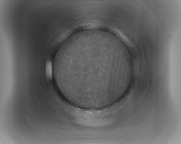 X0000111810022200908061124