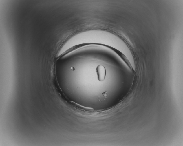 X0000111810023200908061124