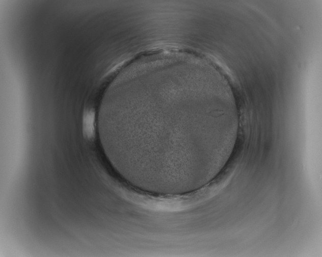 X0000111810024200908061124