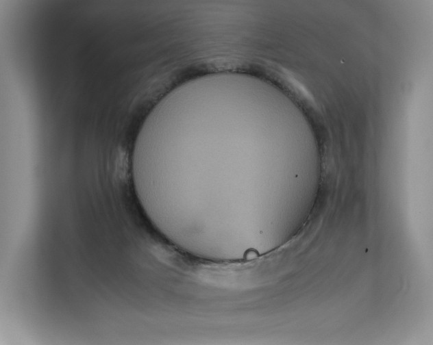 X0000111810025200908061124