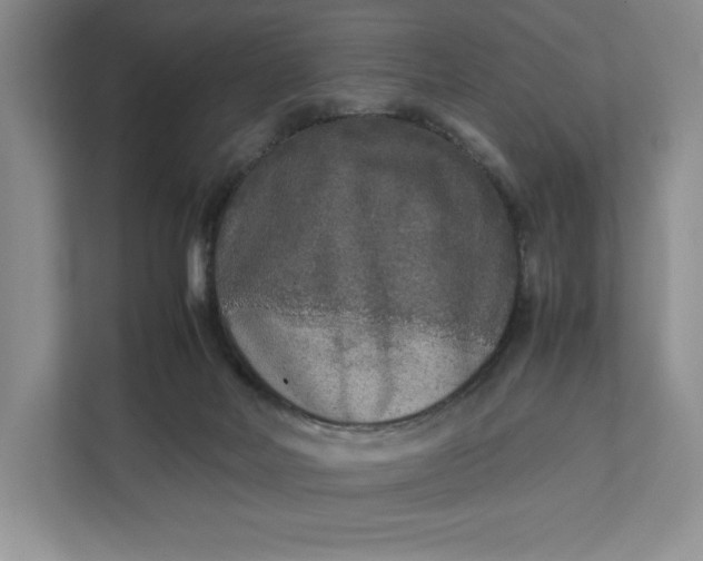 X0000111810026200908061124