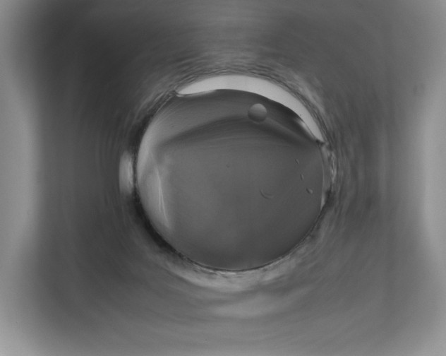 X0000111810027200908061124