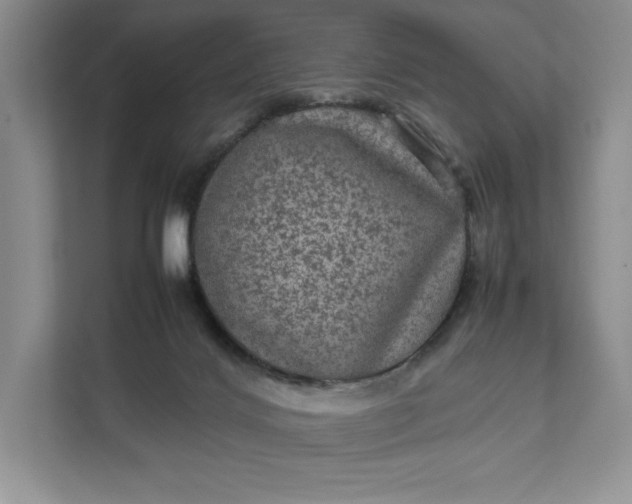X0000111810028200908061124