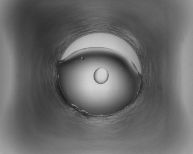 X0000111810029200908061124