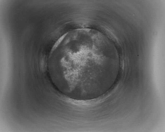 X0000111810030200908061124