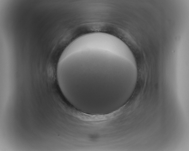 X0000111810031200908061124