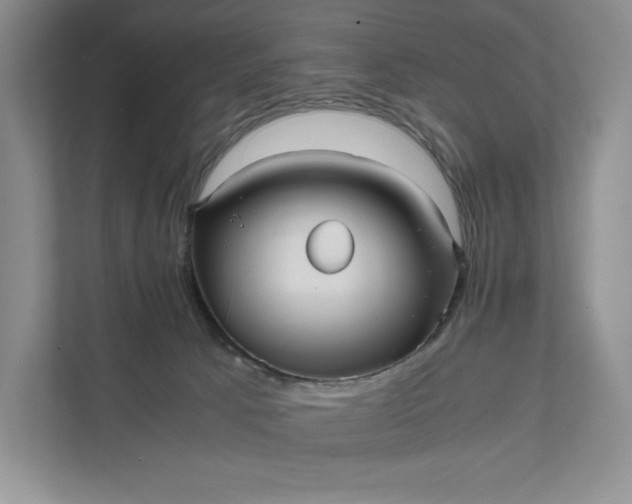 X0000111810033200908061124