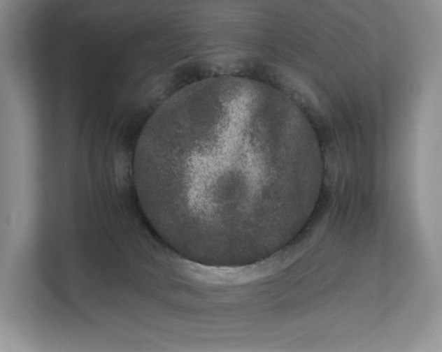 X0000111810034200908061124