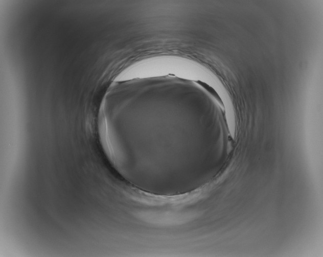 X0000111810035200908061124