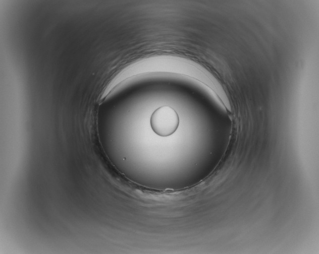X0000111810036200908061124