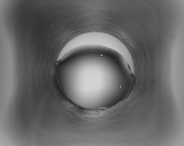 X0000111810037200908061124