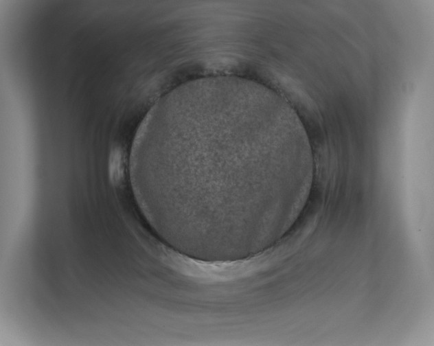 X0000111810038200908061124