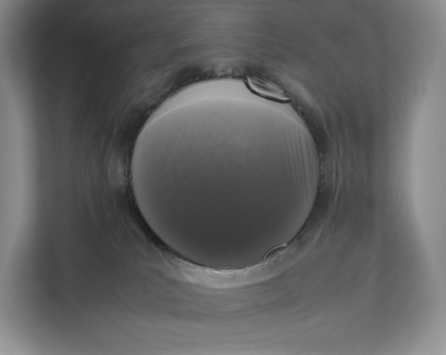 X0000111810039200908061124