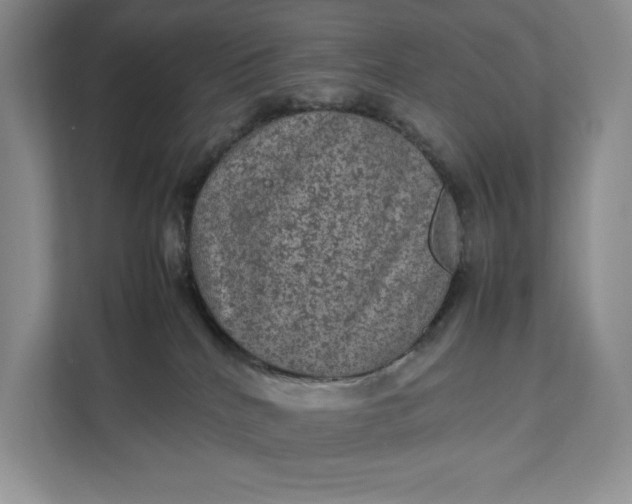 X0000111810040200908061124