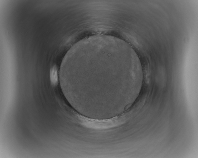 X0000111810042200908061124