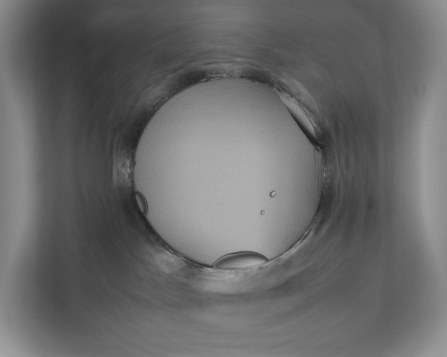 X0000111810045200908061124
