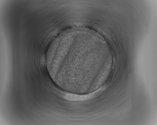 X0000111810048200908061124