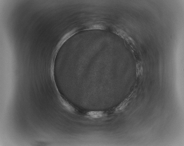 X0000111810051200908061123