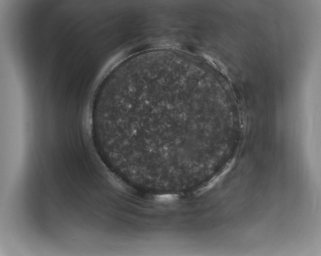 X0000111810053200908061123