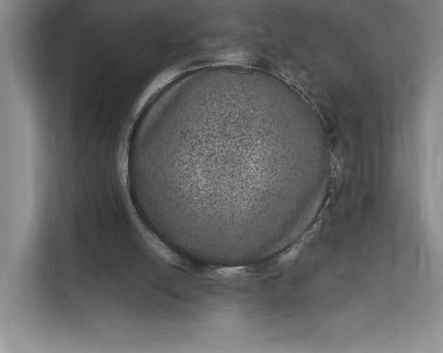 X0000111810054200908061123