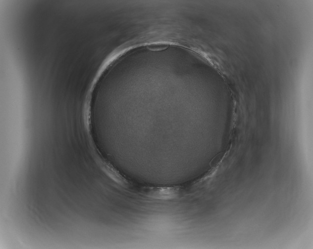 X0000111810056200908061123
