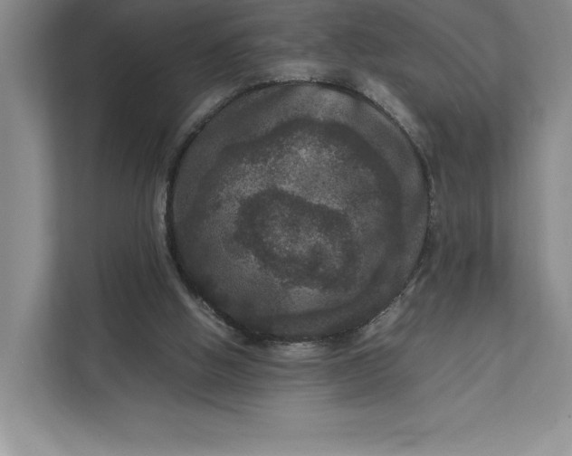 X0000111810058200908061123