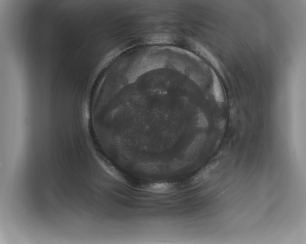 X0000111810059200908061123