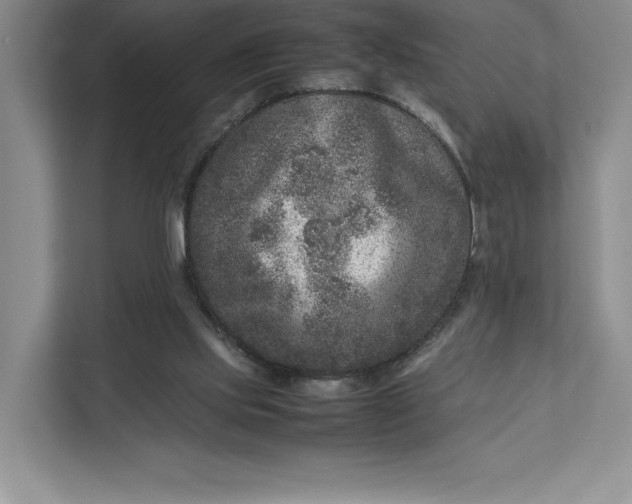 X0000111810061200908061123