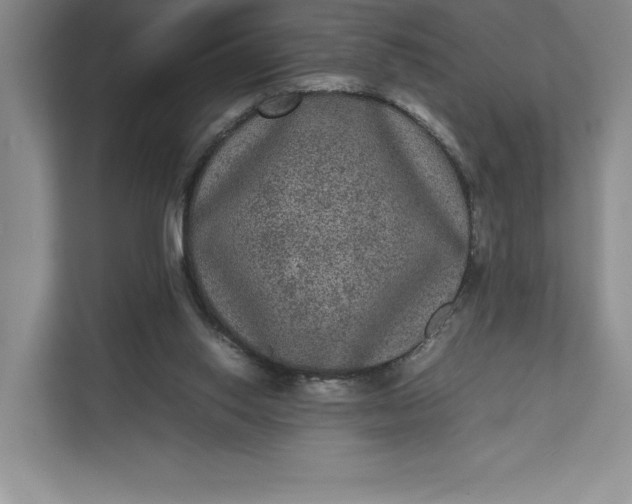 X0000111810062200908061123