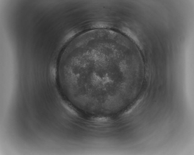 X0000111810063200908061123