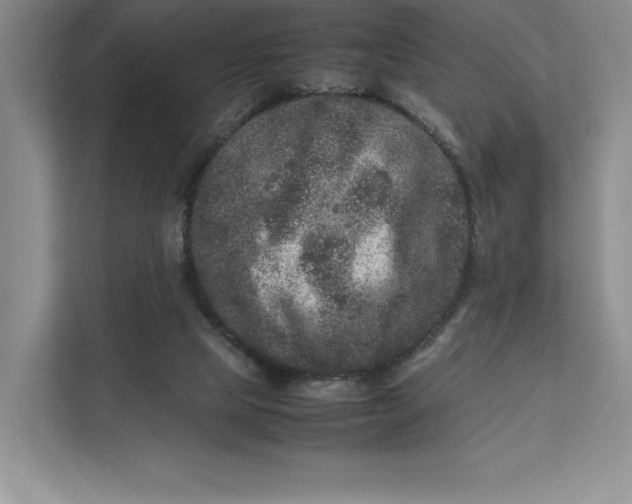 X0000111810065200908061123