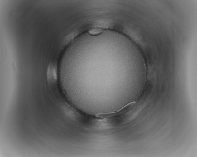 X0000111810068200908061123