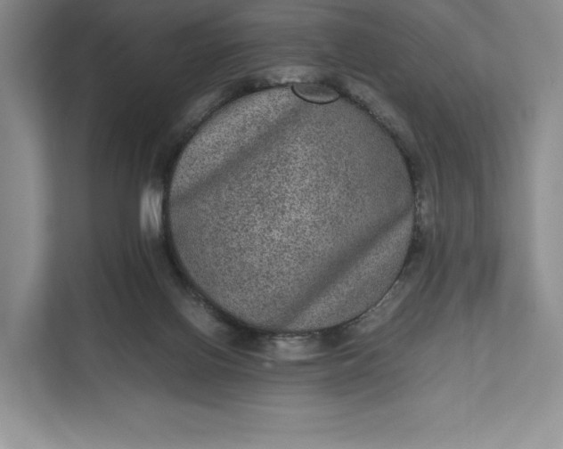 X0000111810070200908061123