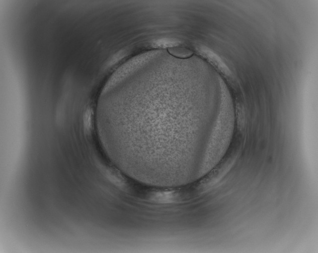 X0000111810071200908061124