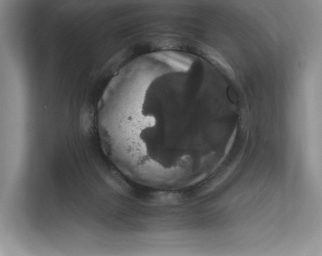 X0000111810073200908061124