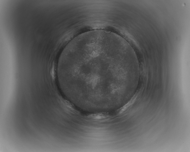 X0000111810074200908061124