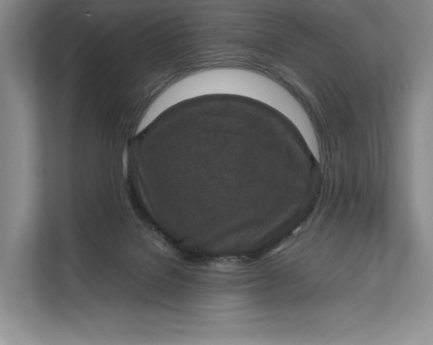 X0000111810076200908061124