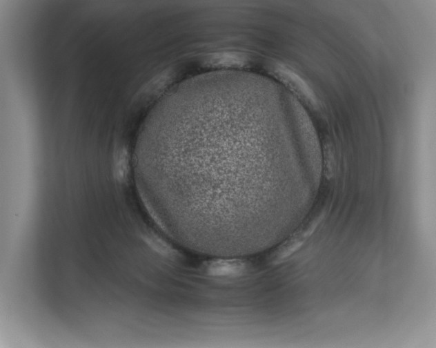 X0000111810077200908061124
