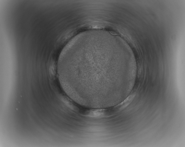 X0000111810078200908061124