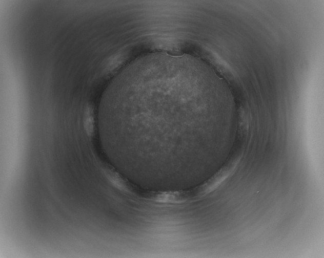X0000111810080200908061124