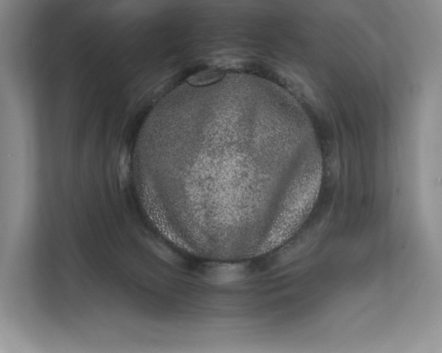 X0000111810081200908061124