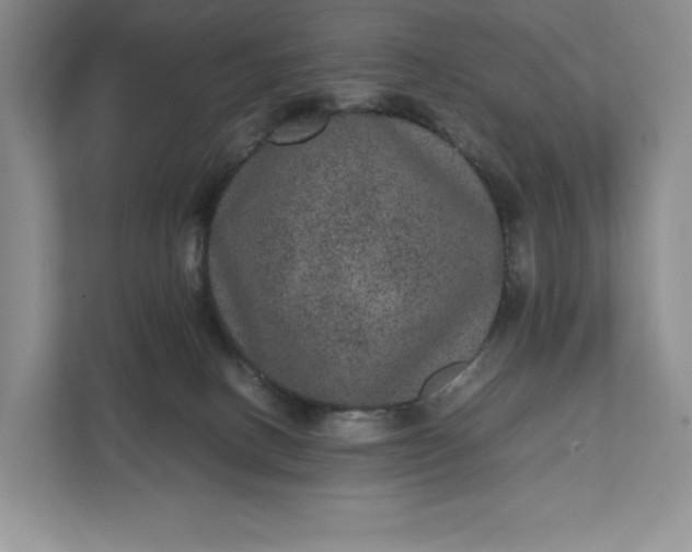 X0000111810082200908061124